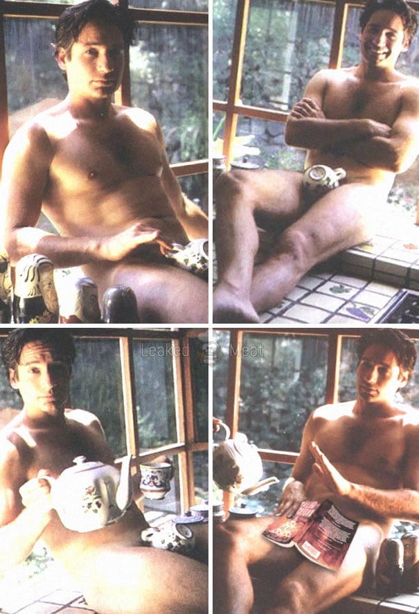605px x 886px - David Duchovny Nude & Sex Scenes - ( FULL GALLERY! )
